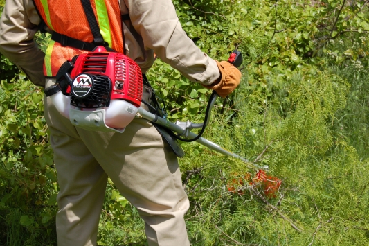 Brush cutters