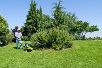 Wheeled Trimmers