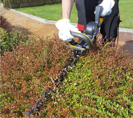 Electronic hedge trimmer Zanon RAPTOR 750